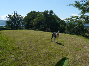 A building site on Lot 4.